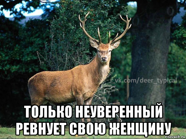 только неуверенный ревнует свою женщину