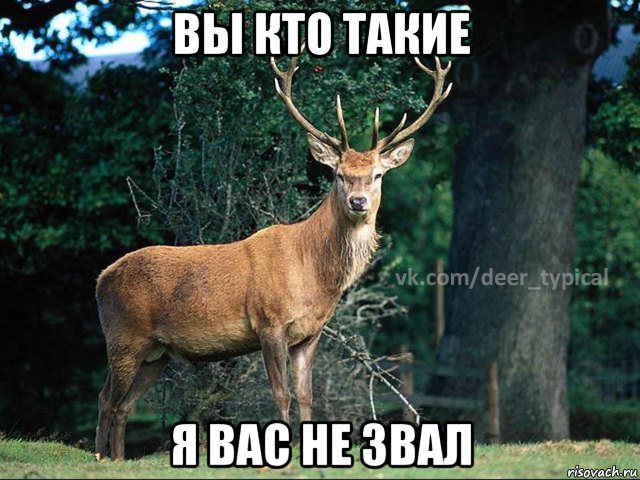 вы кто такие я вас не звал, Мем Паблик Типичный олень