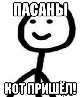 пасаны кот пришёл!