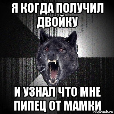 я когда получил двойку и узнал что мне пипец от мамки, Мем Сумасшедший волк