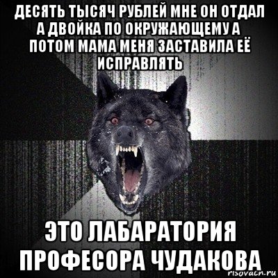 десять тысяч рублей мне он отдал а двойка по окружающему а потом мама меня заставила её исправлять это лабаратория професора чудакова, Мем Сумасшедший волк