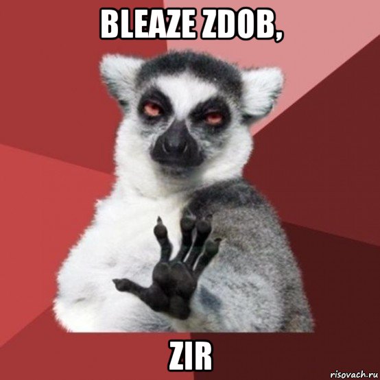 bleaze zdob, zir