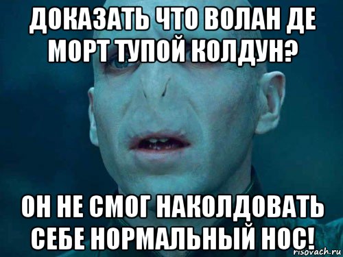 доказать что волан де морт тупой колдун? он не смог наколдовать себе нормальный нос!, Мем Волан де Морт