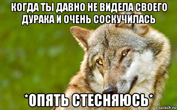 когда ты давно не видела своего дурака и очень соскучилась *опять стесняюсь*