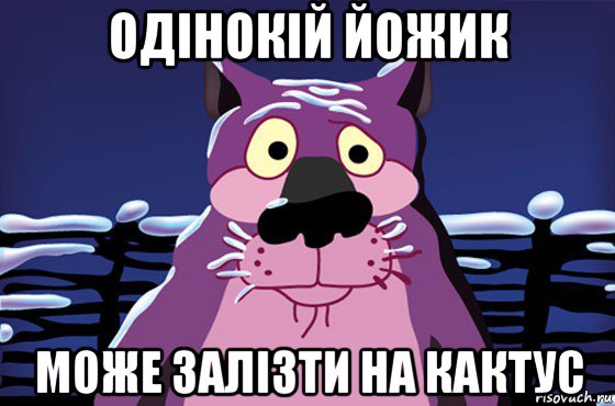 одінокій йожик може залізти на кактус