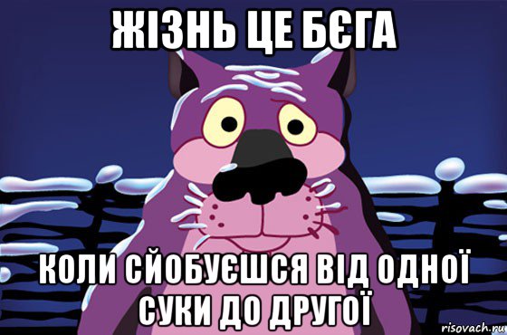 жізнь це бєга коли сйобуєшся від одної суки до другої, Мем Волк