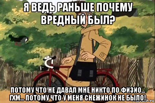 я ведь раньше почему вредный был? потому что не давал мне никто по физио... гхм... потому что у меня снежинок не было!, Мем   Я ведь раньше почему злой был