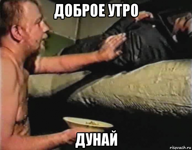 доброе утро дунай