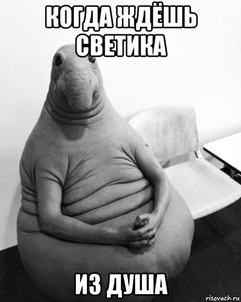 когда ждёшь светика из душа, Мем  Ждун