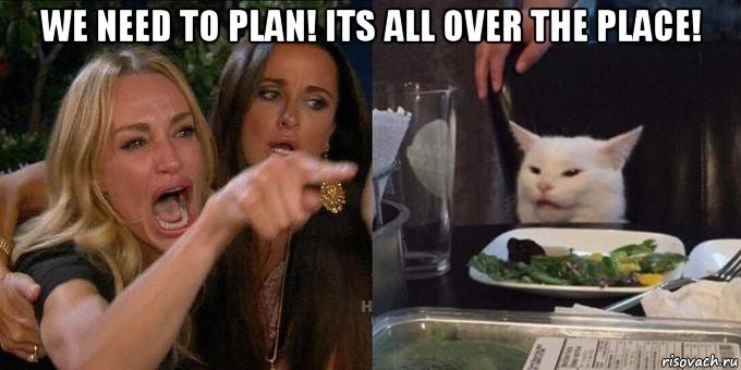 we need to plan! its all over the place! , Мем Женщина орёт на кота