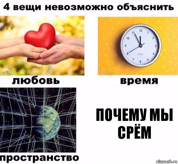 почему мы срём