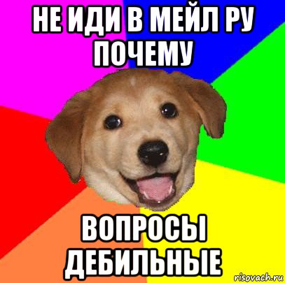 не иди в мейл ру почему вопросы дебильные, Мем Advice Dog