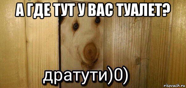 а где тут у вас туалет? , Мем  Дратути