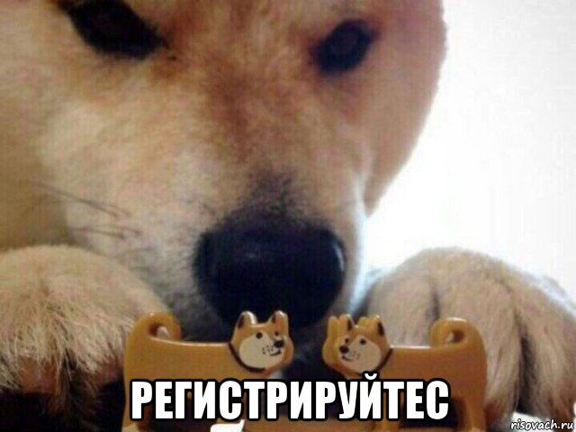  регистрируйтес