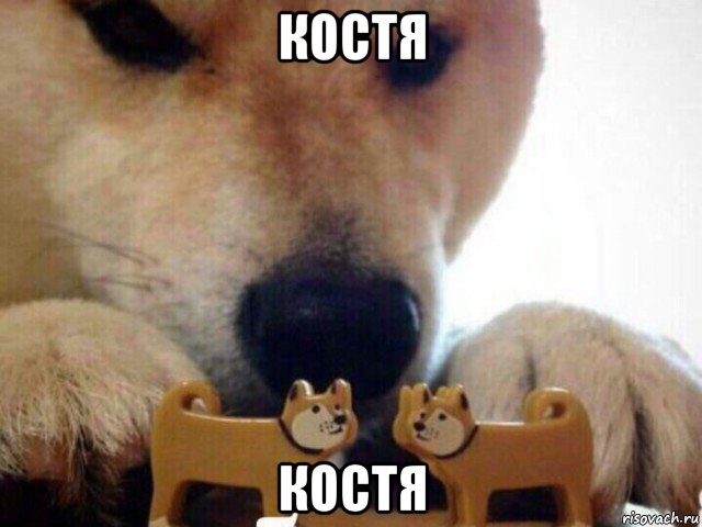 костя костя