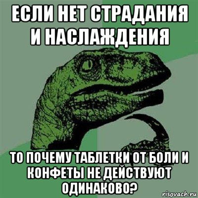 если нет страдания и наслаждения то почему таблетки от боли и конфеты не действуют одинаково?, Мем Филосораптор