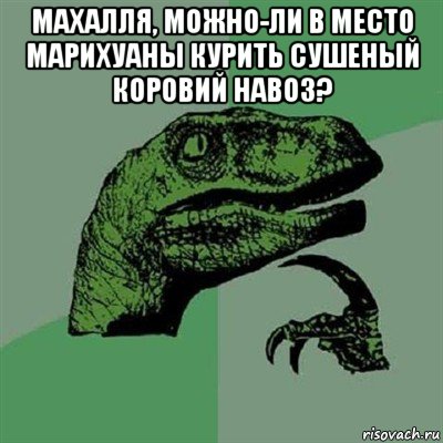 махалля, можно-ли в место марихуаны курить сушеный коровий навоз? , Мем Филосораптор