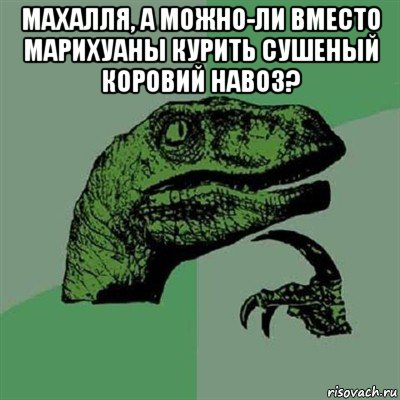 махалля, а можно-ли вместо марихуаны курить сушеный коровий навоз? , Мем Филосораптор