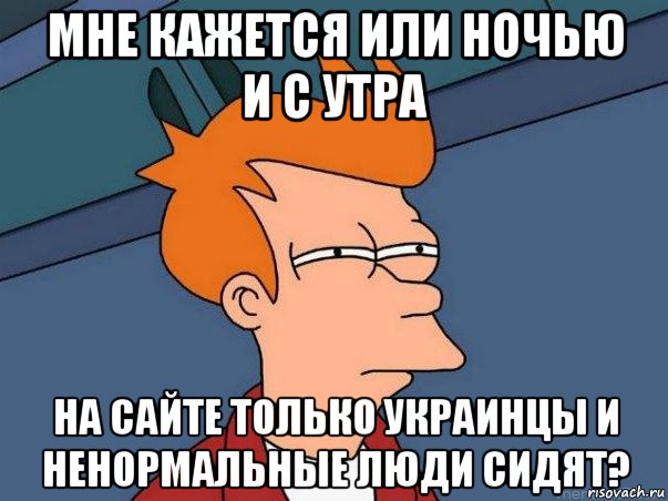 мне кажется или ночью и с утра на сайте только украинцы и ненормальные люди сидят?, Мем  Фрай (мне кажется или)