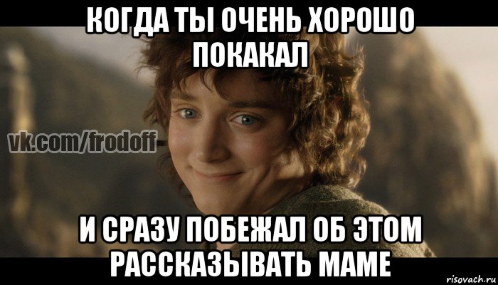 когда ты очень хорошо покакал и сразу побежал об этом рассказывать маме, Мем  Фродо