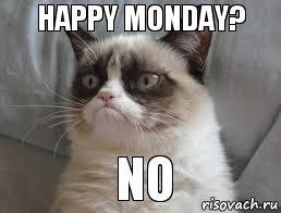 Happy Monday?    NO, Комикс grumpy cat