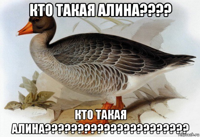 кто такая алина???? кто такая алина??????????????????????