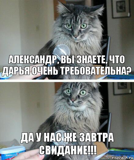 Александр, вы знаете, что Дарья очень требовательна? Да у нас же завтра свидание!!!, Комикс  кот с микрофоном