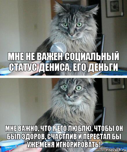 мне не важен социальный статус дениса, его деньги мне важно, что я его люблю, чтобы он был здоров, счастлив и перестал бы уже меня игнорировать!, Комикс  кот с микрофоном