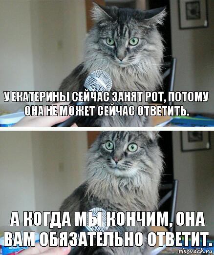 у екатерины сейчас занят рот, потому она не может сейчас ответить. а когда мы кончим, она вам обязательно ответит., Комикс  кот с микрофоном