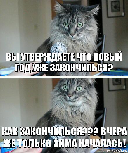 Вы утверждаете что Новый Год уже закончилься? Как закончилься??? Вчера же только зима началась!, Комикс  кот с микрофоном