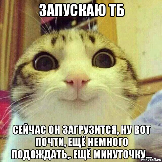 запускаю тб сейчас он загрузится, ну вот почти, ещё немного подождать,. ещё минуточку..., Мем       Котяка-улыбака