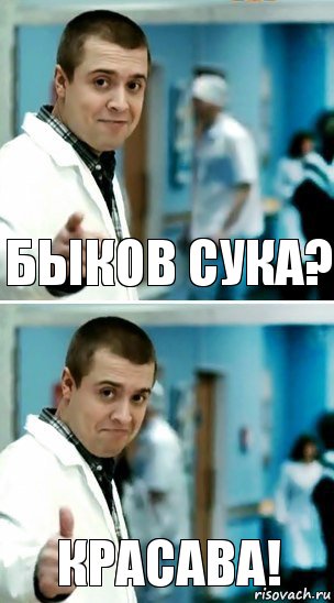 Быков сука? Красава!