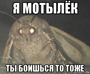 я мотылёк ты боишься то тоже, Мем Матылёк