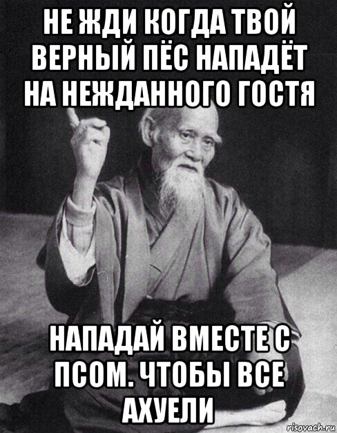 не жди когда твой верный пёс нападёт на нежданного гостя нападай вместе с псом. чтобы все ахуели