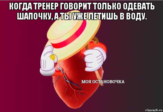 когда тренер говорит только одевать шапочку, а ты уже летишь в воду. , Мем   Моя остановочка