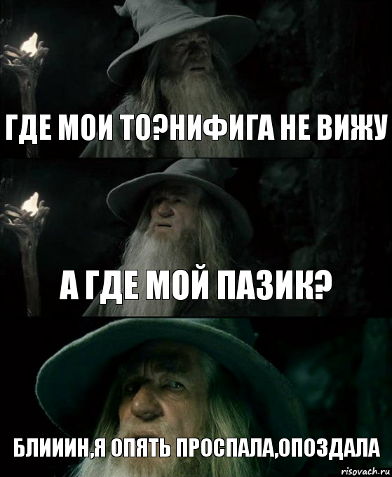 Где мои то?Нифига не вижу А где мой пазик? Блииин,я опять проспала,опоздала, Комикс Гендальф заблудился