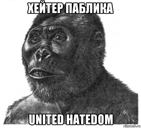 хейтер паблика united hatedom