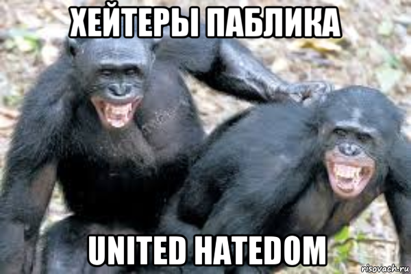 хейтеры паблика united hatedom, Мем Обезьяны гомосексуалисты