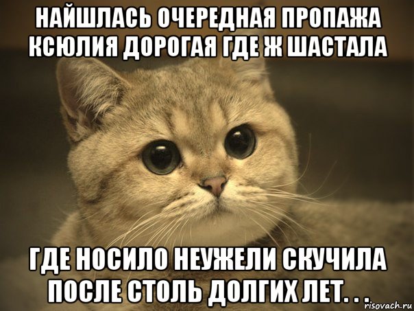 найшлась очередная пропажа ксюлия дорогая где ж шастала где носило неужели скучила после столь долгих лет. . .