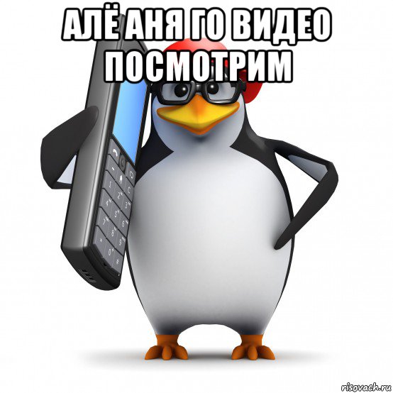 алё аня го видео посмотрим , Мем   Пингвин звонит