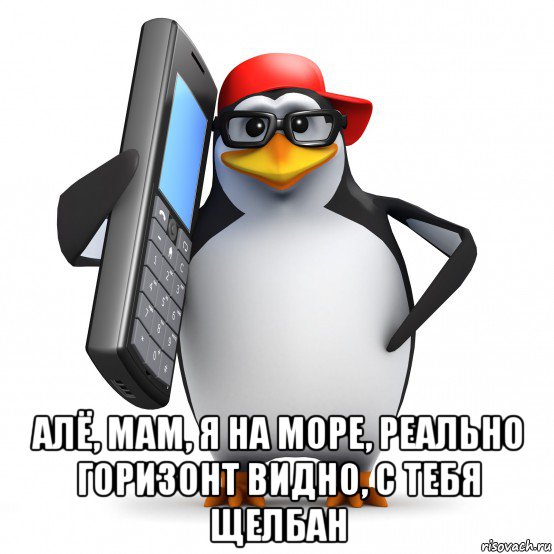  алё, мам, я на море, реально горизонт видно, с тебя щелбан, Мем   Пингвин звонит