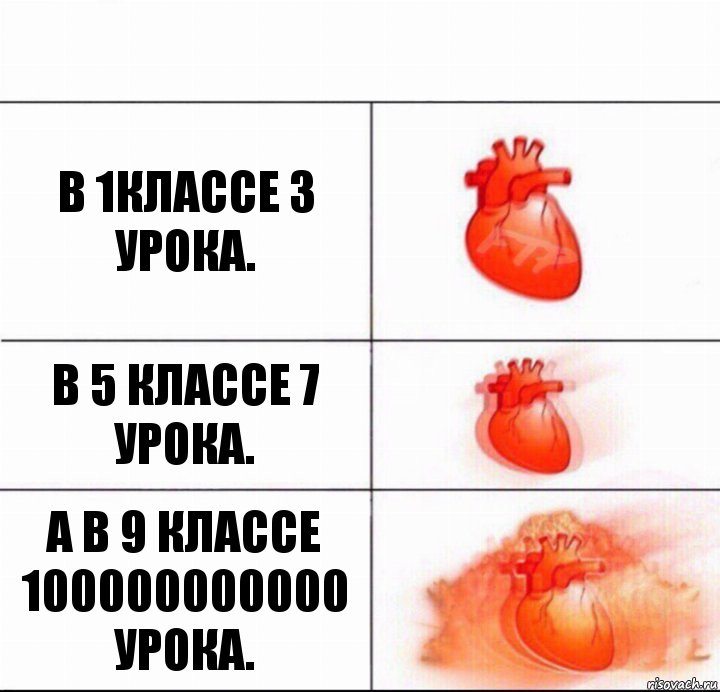 В 1классе 3 урока. В 5 классе 7 урока. А в 9 классе 100000000000 урока.