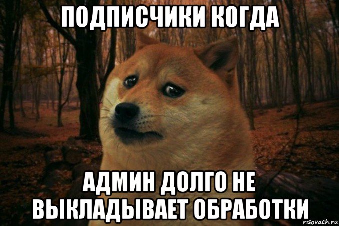 подписчики когда админ долго не выкладывает обработки