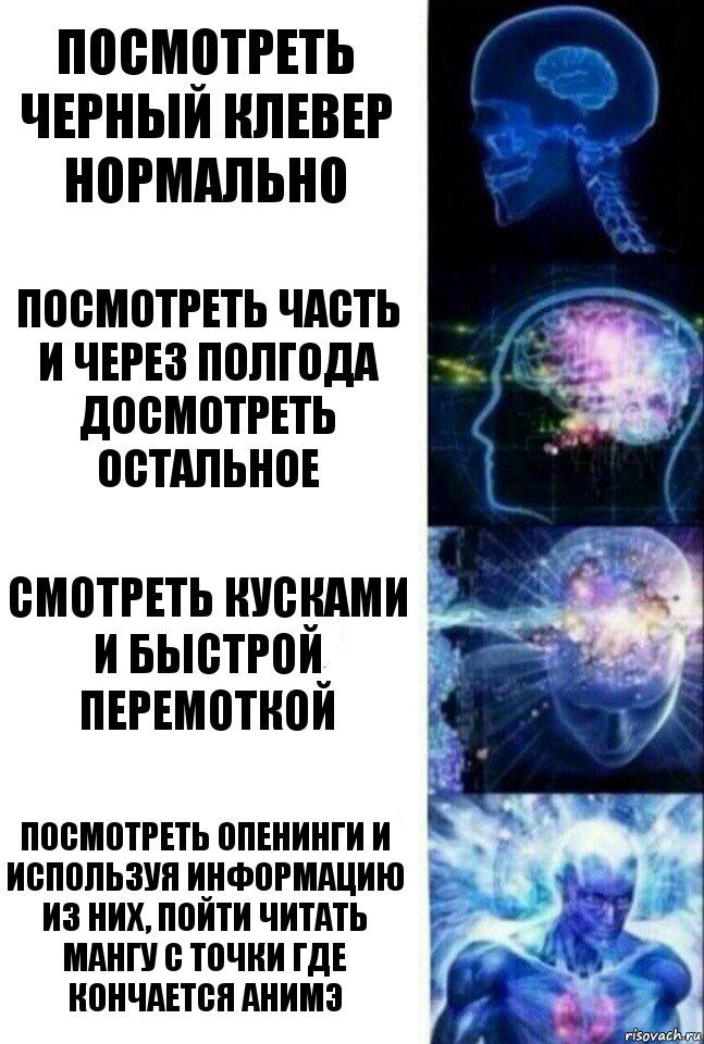 Посмотреть Черный клевер нормально Посмотреть часть и через полгода досмотреть остальное Смотреть кусками и быстрой перемоткой Посмотреть опенинги и используя информацию из них, пойти читать мангу с точки где кончается анимэ, Комикс  Сверхразум