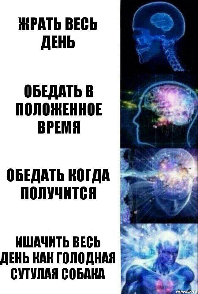 Жрать весь день Обедать в положенное время Обедать когда получится Ишачить весь день как голодная сутулая собака