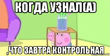 когда узнал(а) ,что завтра контрольная, Мем  Свинка пеппа под столом