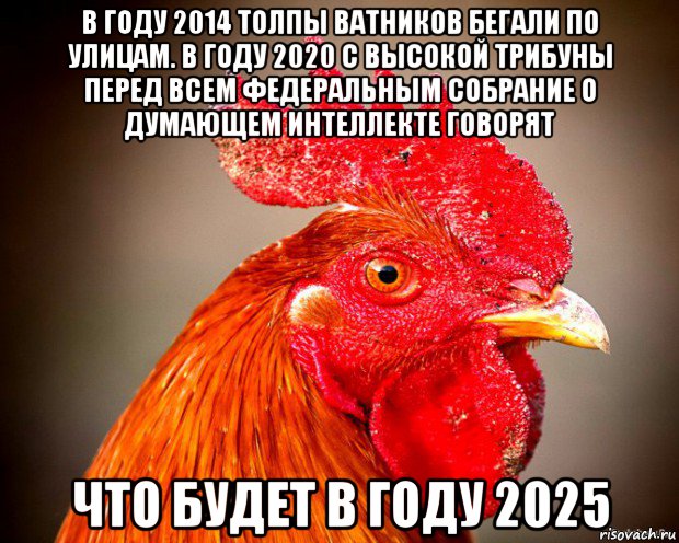 в году 2014 толпы ватников бегали по улицам. в году 2020 с высокой трибуны перед всем федеральным собрание о думающем интеллекте говорят что будет в году 2025, Мем Типичный петух