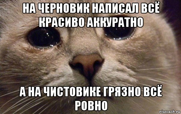 на черновик написал всё красиво аккуратно а на чистовике грязно всё ровно, Мем   В мире грустит один котик