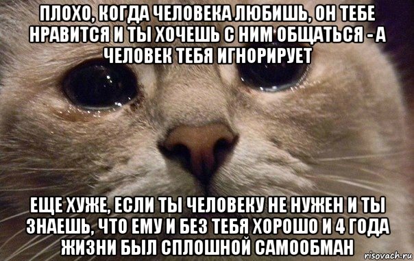 плохо, когда человека любишь, он тебе нравится и ты хочешь с ним общаться - а человек тебя игнорирует еще хуже, если ты человеку не нужен и ты знаешь, что ему и без тебя хорошо и 4 года жизни был сплошной самообман, Мем   В мире грустит один котик