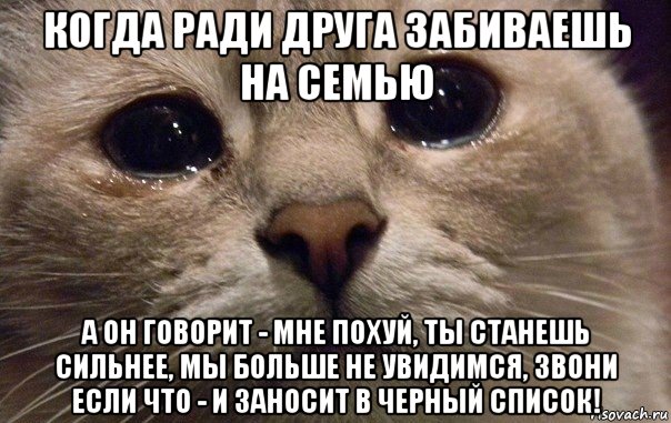 когда ради друга забиваешь на семью а он говорит - мне похуй, ты станешь сильнее, мы больше не увидимся, звони если что - и заносит в черный список!, Мем   В мире грустит один котик